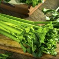 Celery